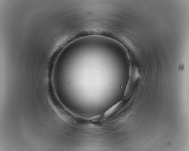 X0000091970638200709061332