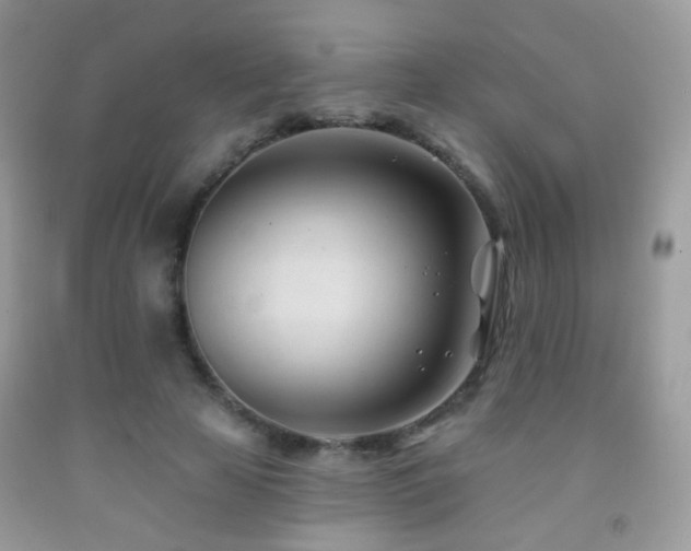 X0000091970641200709061332