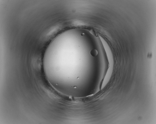 X0000091970644200709061333