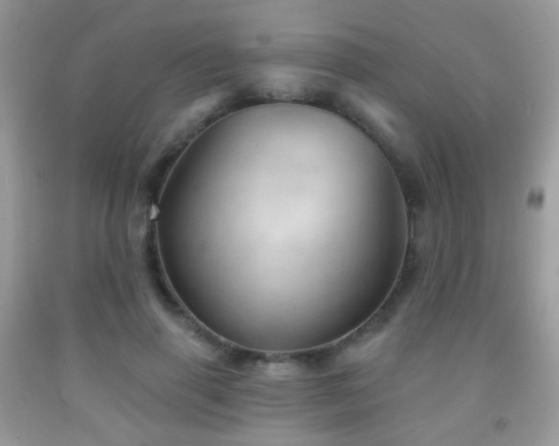 X0000091970645200709061333