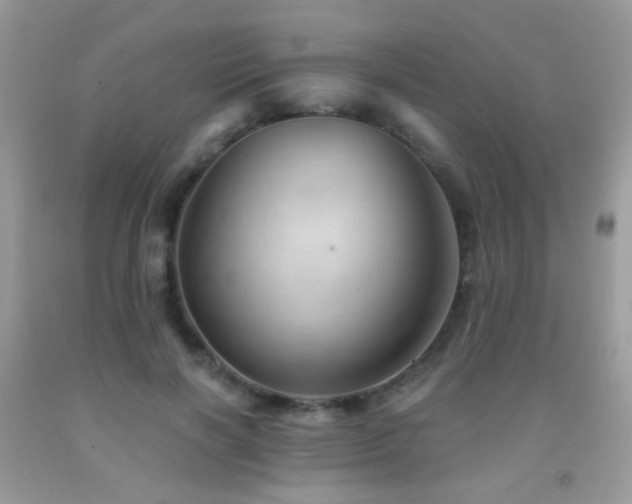 X0000091970646200709061333