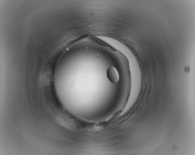 X0000091970647200709061333