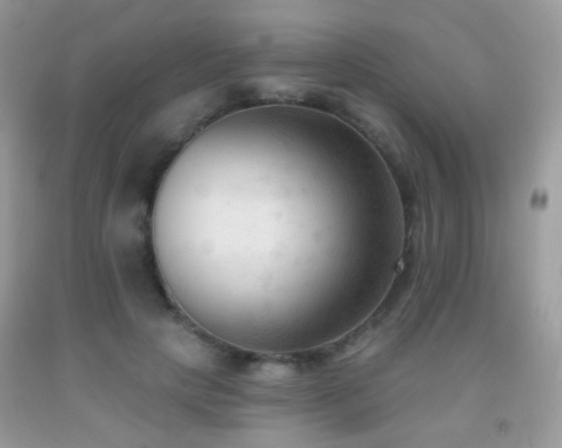 X0000091970649200709061333