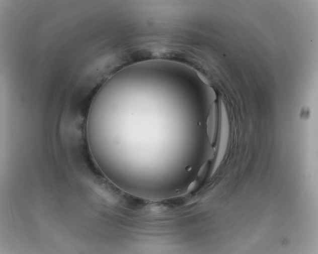 X0000091970650200709061333