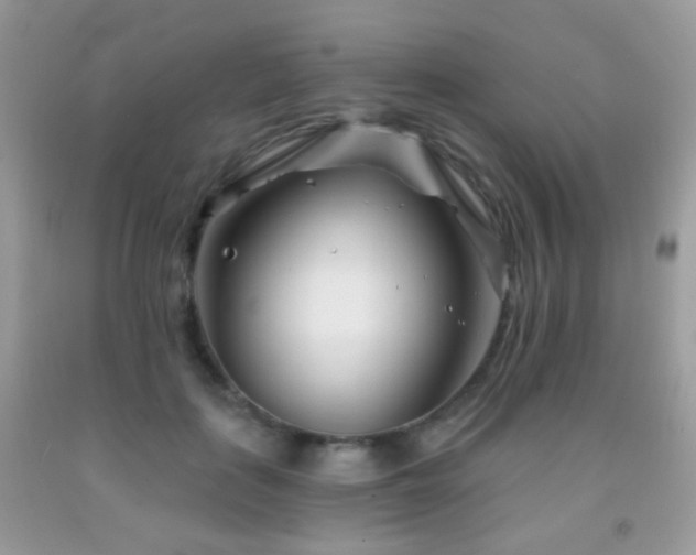 X0000091970651200709061333