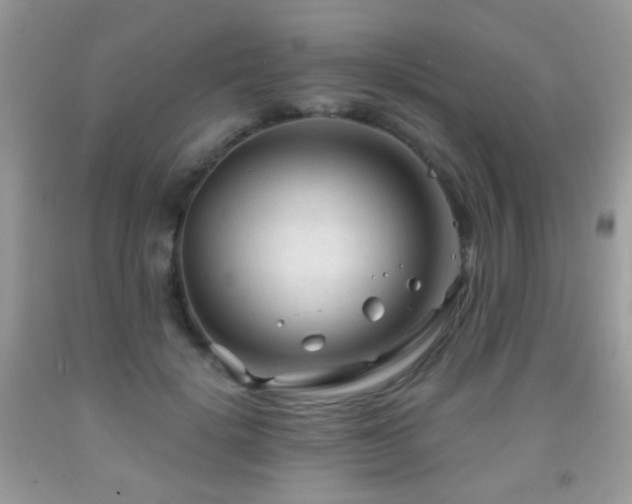 X0000091970652200709061333