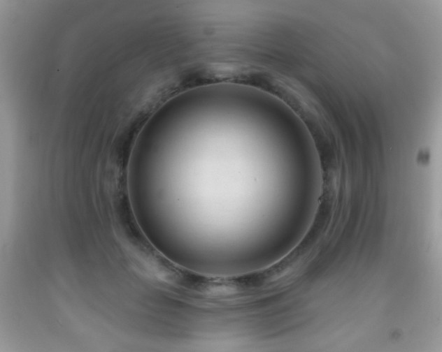 X0000091970653200709061333