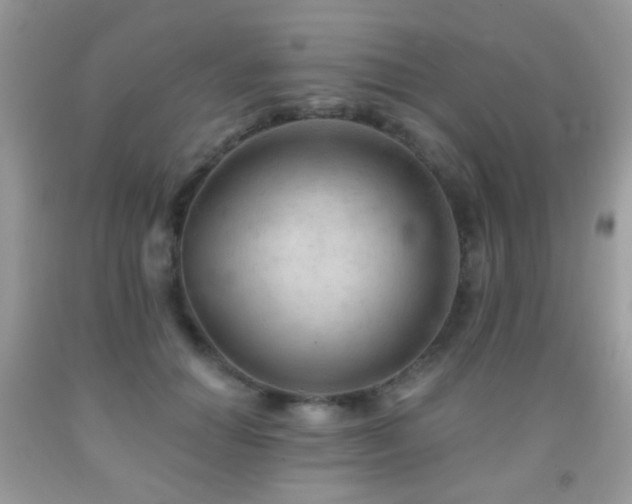 X0000091970654200709061333