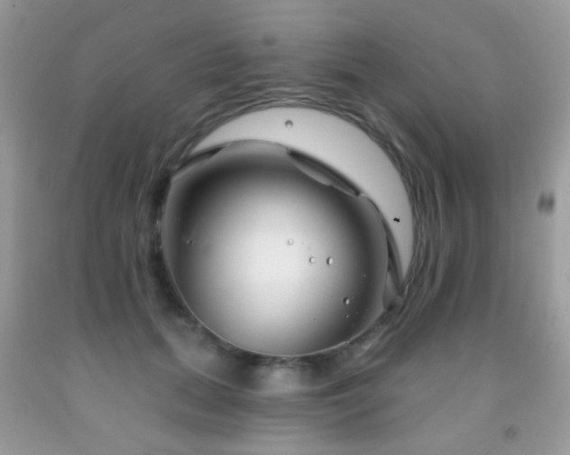 X0000091970655200709061333