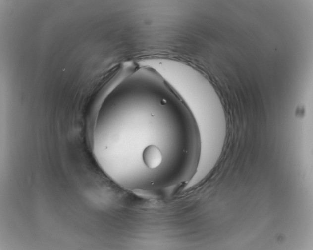 X0000091970656200709061333