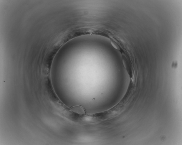 X0000091970657200709061333