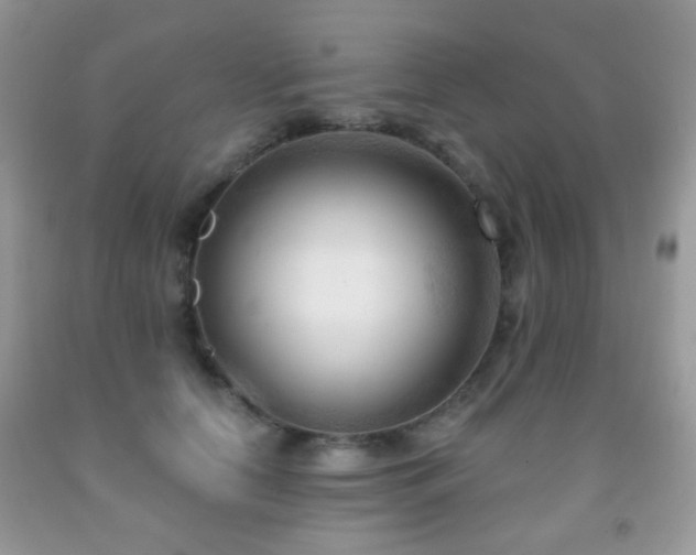 X0000091970658200709061333