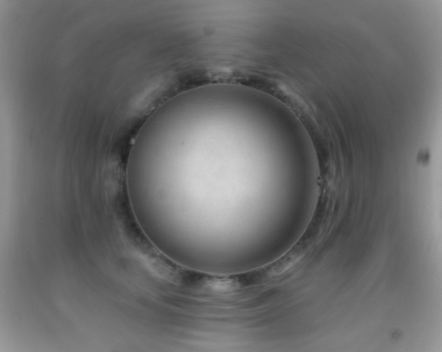 X0000091970659200709061333