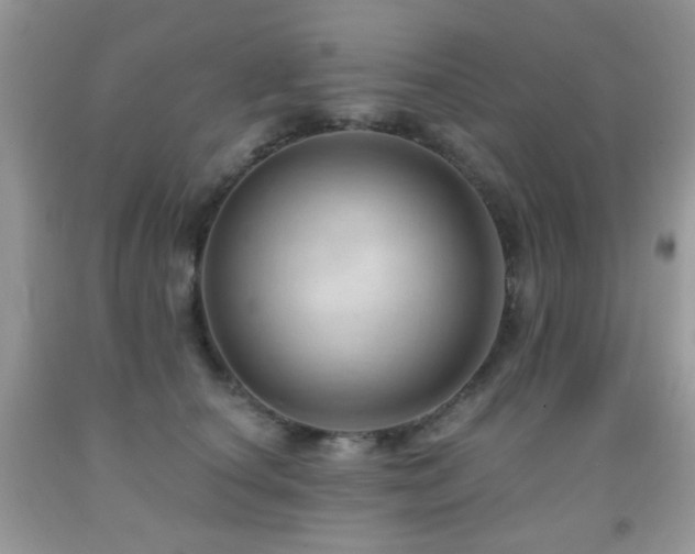X0000091970660200709061333