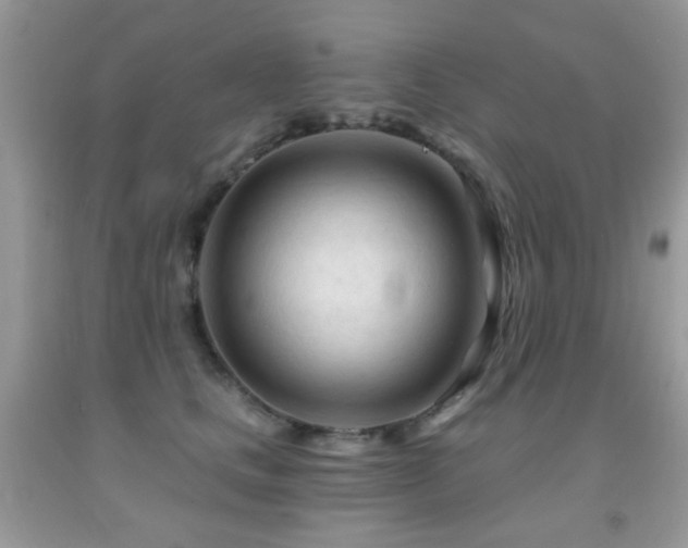 X0000091970661200709061333
