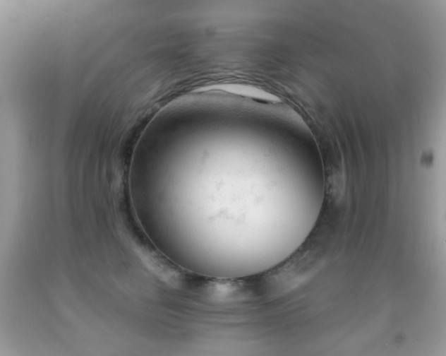 X0000091970662200709061333