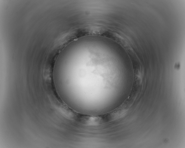 X0000091970663200709061333