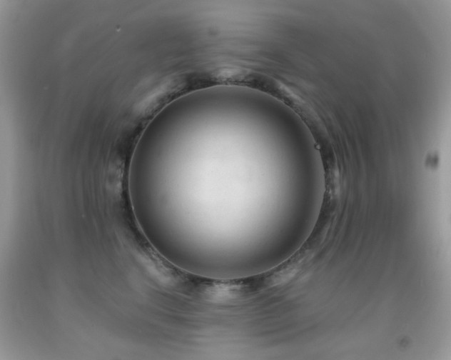 X0000091970664200709061333