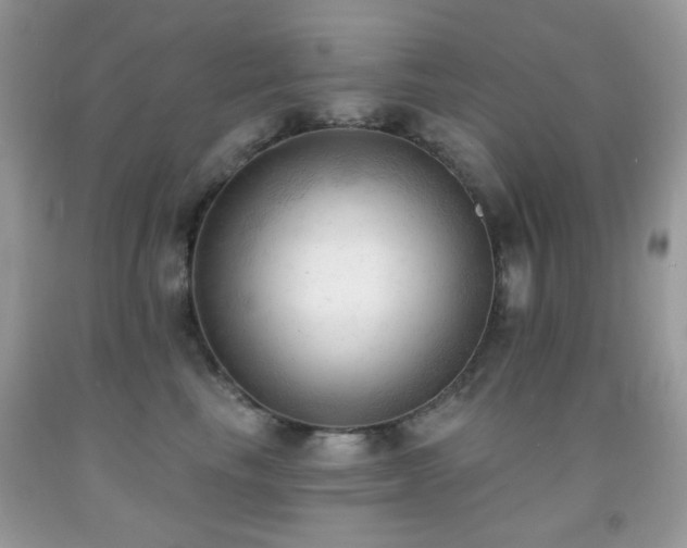 X0000091970665200709061333