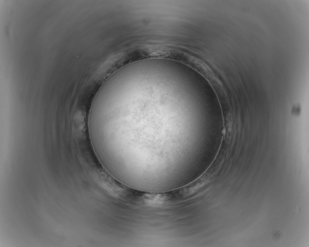 X0000091970667200709061333