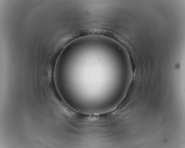 X0000091970668200709061333
