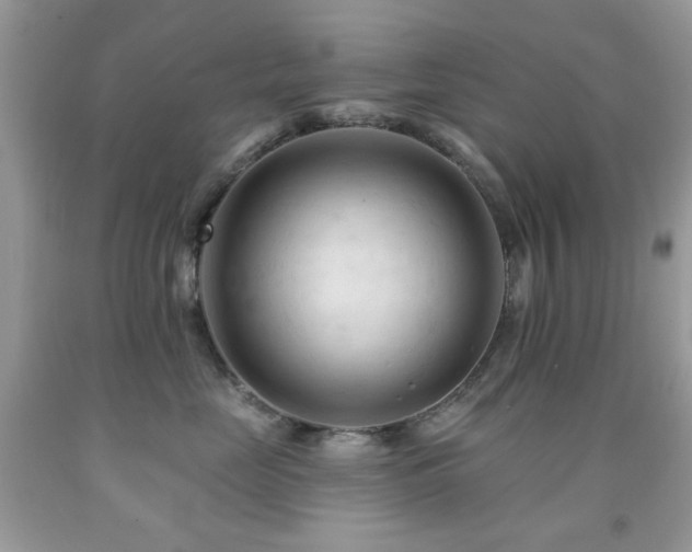 X0000091970669200709061333