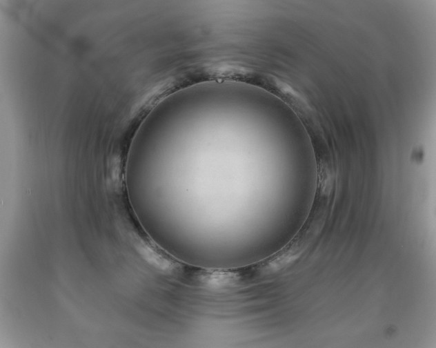 X0000091970670200709061333