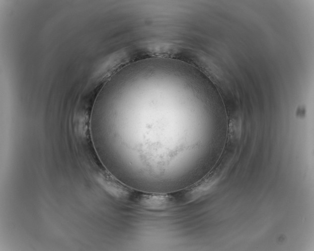 X0000091970671200709061333