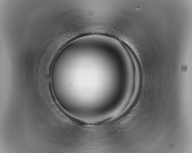 X0000091970673200709061332