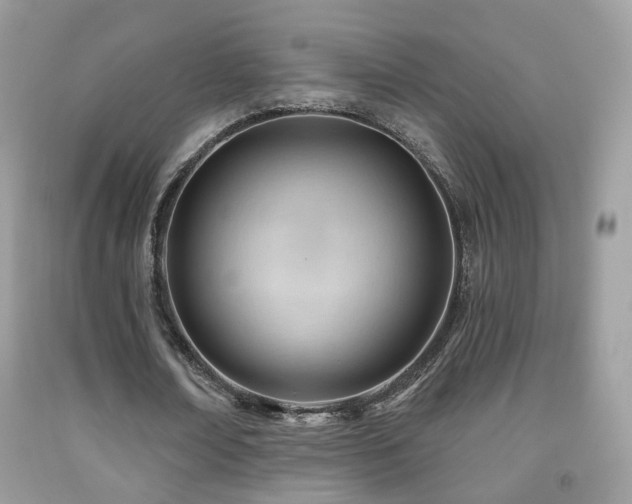 X0000091970674200709061332