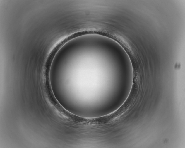 X0000091970676200709061332