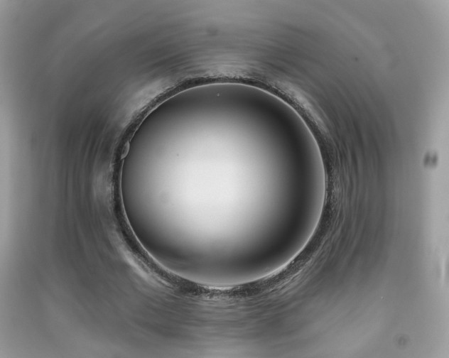 X0000091970677200709061332