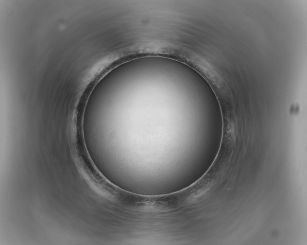 X0000091970678200709061332
