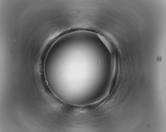 X0000091970680200709061332