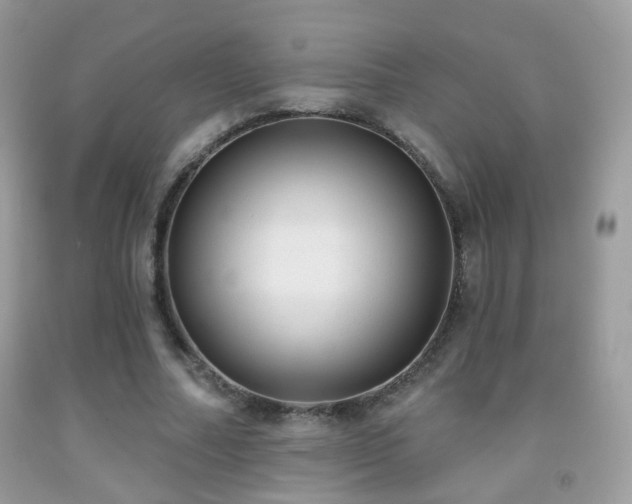 X0000091970682200709061332