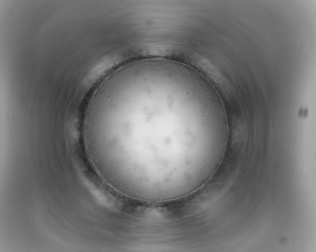 X0000091970683200709061332