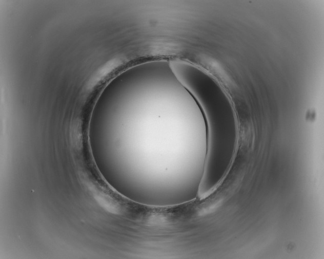 X0000091970684200709061332