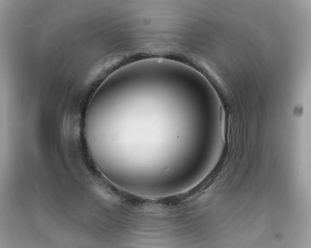 X0000091970685200709061332