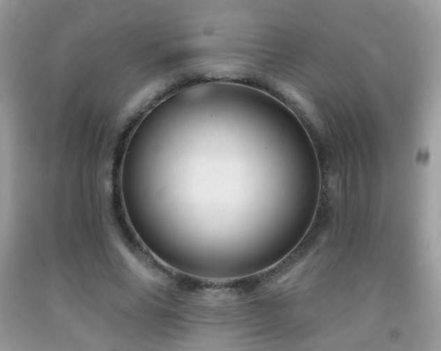 X0000091970686200709061332
