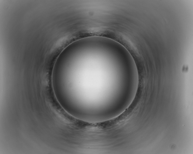 X0000091970689200709061332