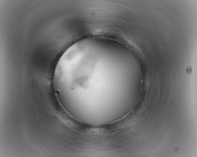 X0000091970691200709061332