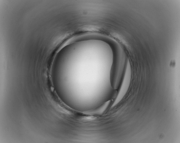 X0000091970692200709061332