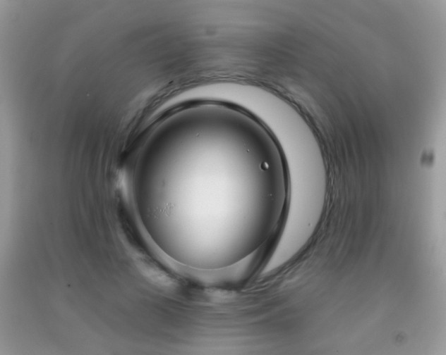 X0000091970693200709061332