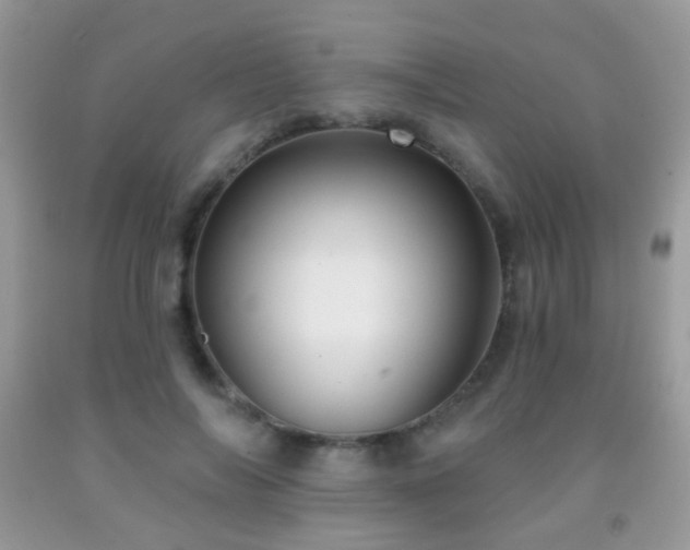 X0000091970694200709061332