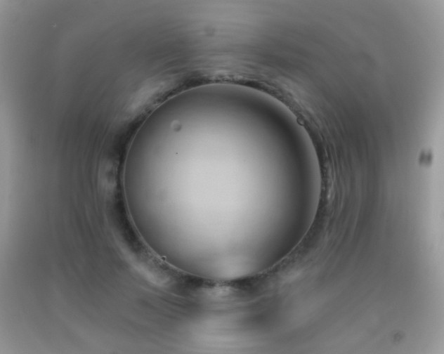 X0000091970695200709061332