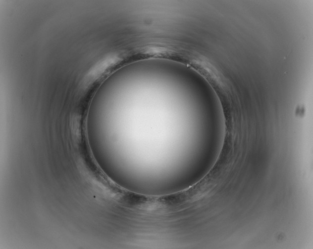 X0000091970696200709061332