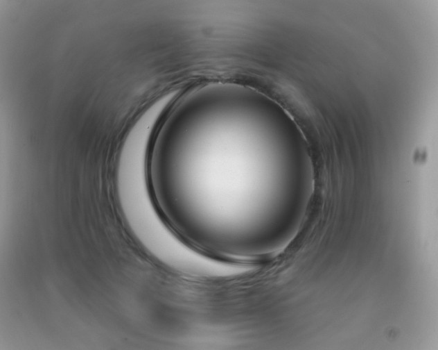 X0000091970697200709061332