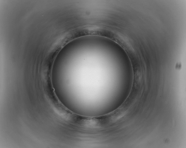 X0000091970698200709061332