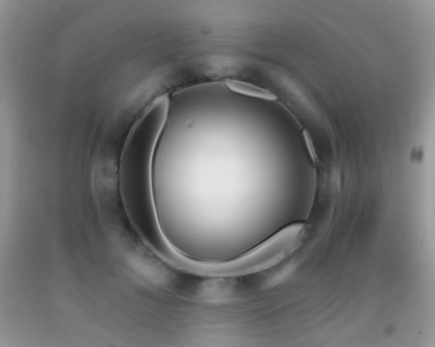 X0000091970700200709061332