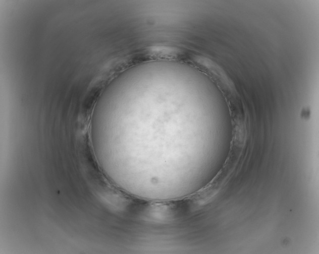 X0000091970701200709061332